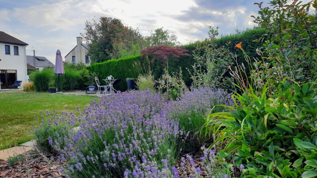 Aménagement de votre jardin